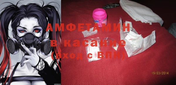 прущие грибы Абаза