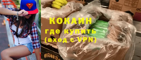 прущие грибы Абаза