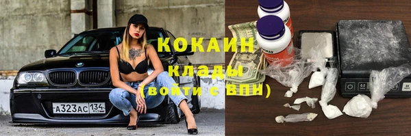 прущие грибы Абаза