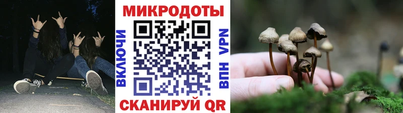 продажа наркотиков  Краснодар  mega ТОР  Псилоцибиновые грибы Cubensis 