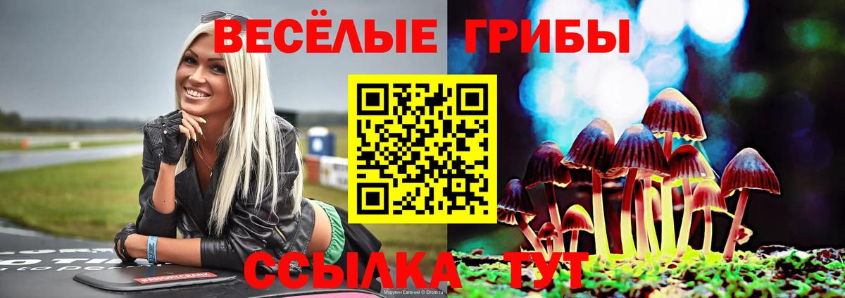 Псилоцибиновые грибы ЛСД Краснодар
