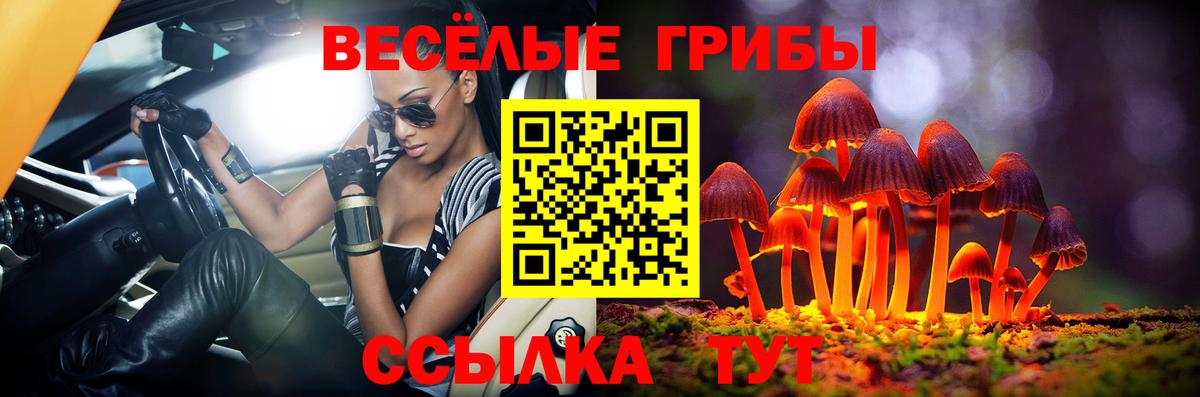 Краснодар  Галлюциногенные грибы GOLDEN TEACHER  Вход с VPN 